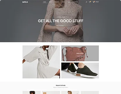 Ảnh xem trước theme Molla – Fashion 6