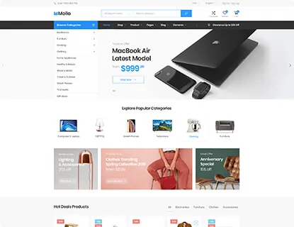 Ảnh xem trước theme Molla – Market