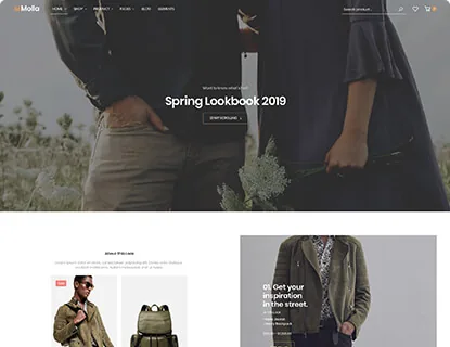Ảnh xem trước theme Molla – Lookbook 1