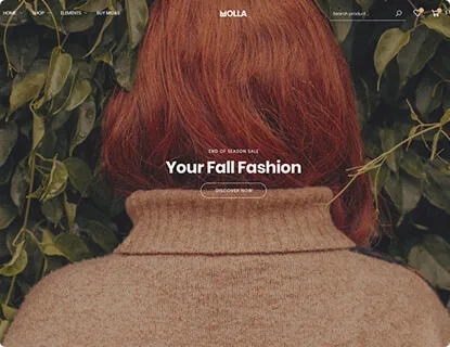 Ảnh xem trước theme Molla – Fashion 10 (Parallax)