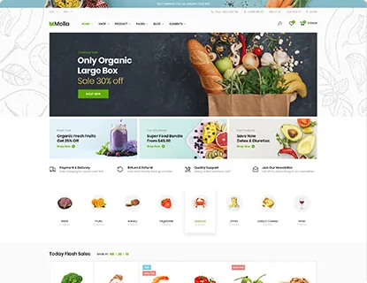 Ảnh xem trước theme Molla – Market 4 (Food)