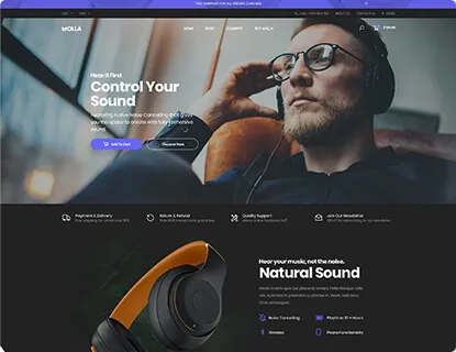 Ảnh xem trước theme Molla – One Product