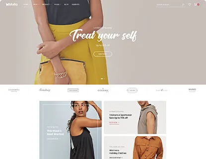 Ảnh xem trước theme Molla – Fashion 1