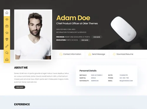Ảnh xem trước theme Porto · Resume